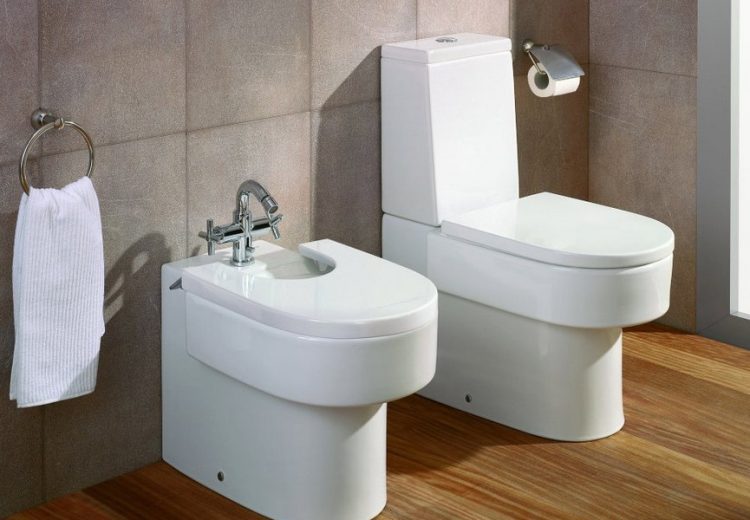 Exploring Different Types of WC Flushing Systems